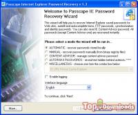   Internet Explorer Password Recovery