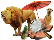 ���������� �������� Discovery! � ������� �����������